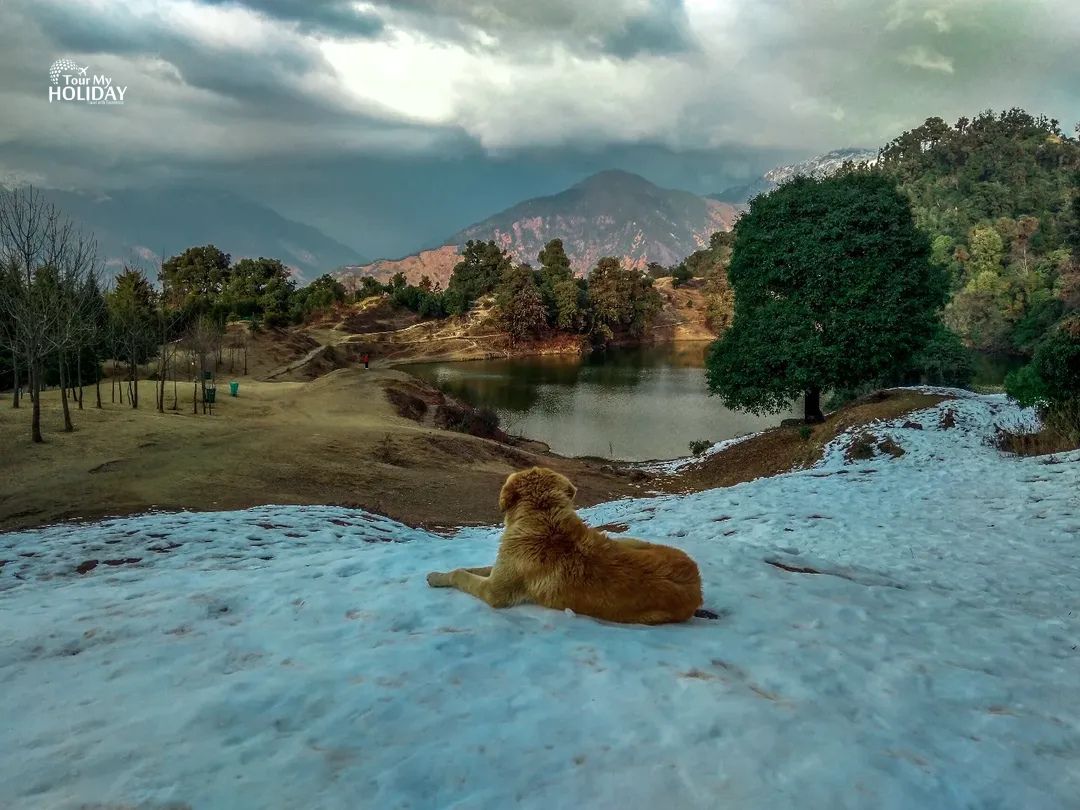chopta tour package