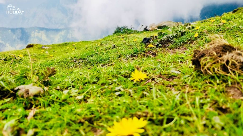 chopta tour package