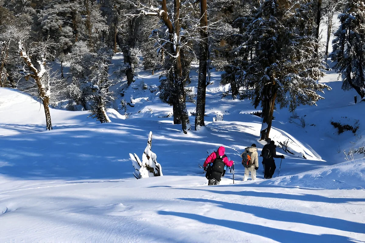 Scenic view of Chopta