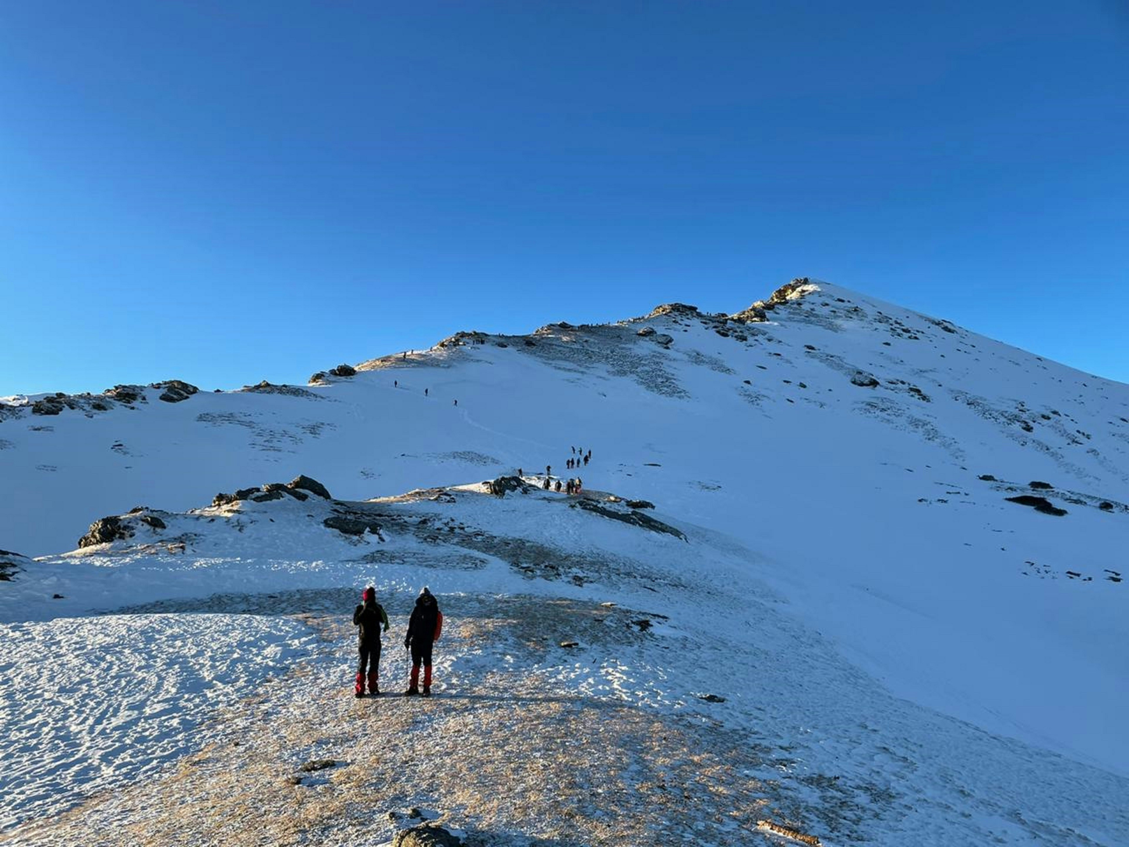 Scenic view of Chopta